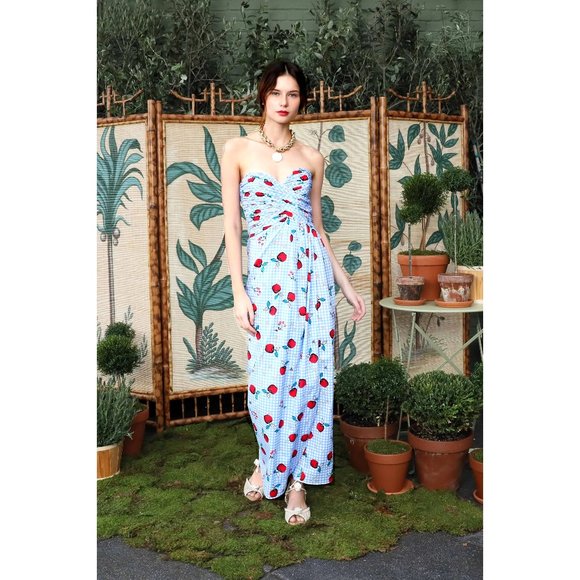 Rebecca de Ravenel Dresses & Skirts - Rebecca de Ravenel Flying Fruit Dandelion dress